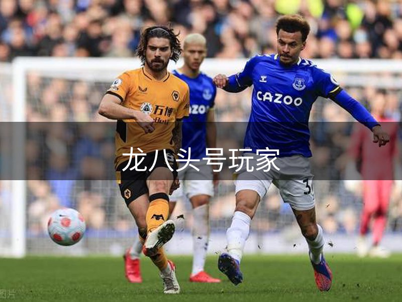 关于本站